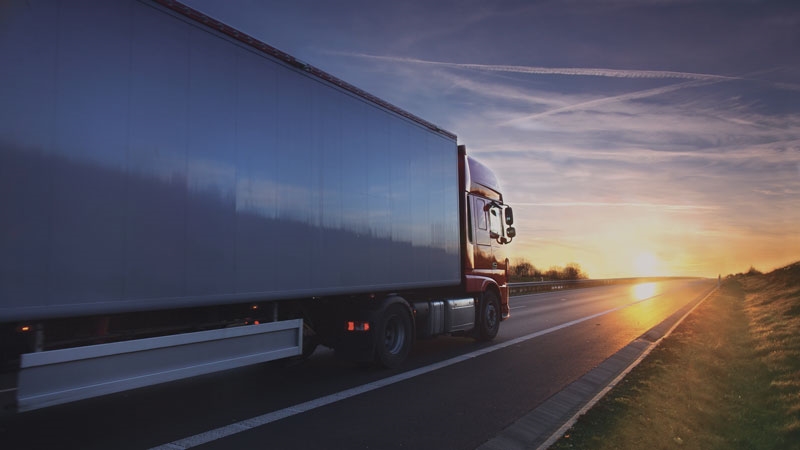 Logistics And Supply Chain Management_ Formação para executivos